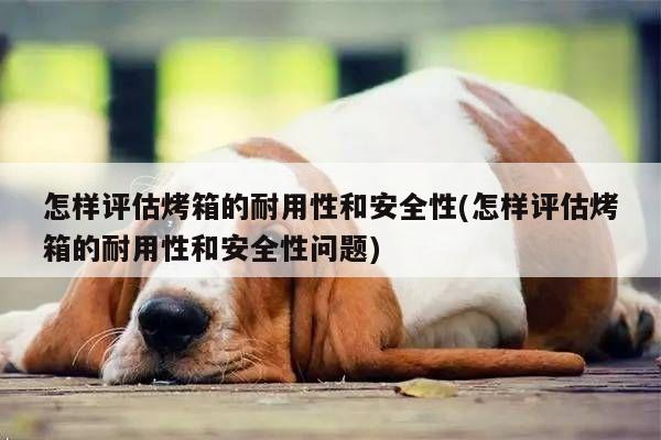 怎样评估烤箱的耐用性和安全性(怎样评估烤箱的耐用性和安全性问