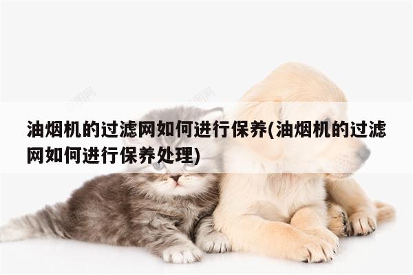 beat365官网登录|油烟机的过滤网如何进行保养(油烟机的过滤网如何进行保养处理)