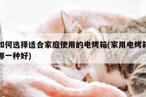 【beat365官网登录】如何选择适合家庭使用的电烤箱(家用电烤箱哪一种好)