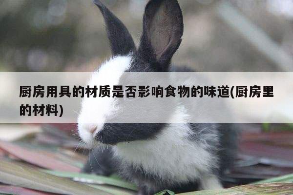 【beat365官网登录】厨房用具的材质是否影响食物的味道(厨房里的材料)