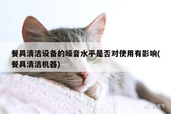 【beat365】餐具清洁设备的噪音水平是否对使用有影响(餐具清洁机器)