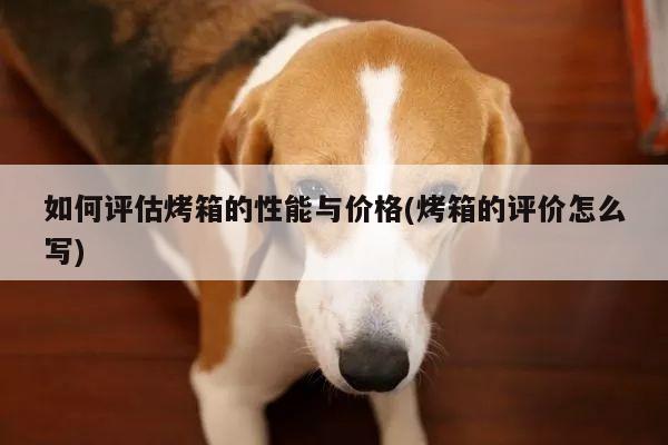 如何评估烤箱的性能与价格(烤箱的评价怎么写)-beat365