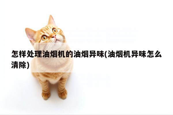 怎样处理油烟机的油烟异味(油烟机异味怎么清除)【beat365】