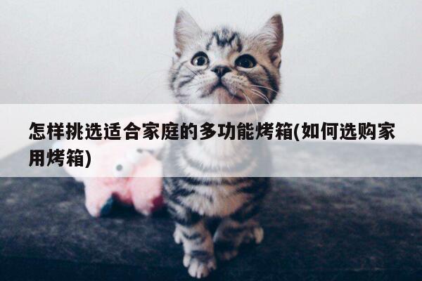 怎样挑选适合家庭的多功能烤箱(如何选购家用烤箱)|beat365平台