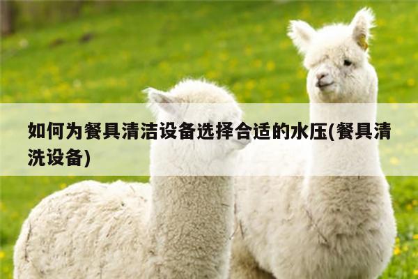 beat365_如何为餐具清洁设备选择合适的水压(餐具清洗设备)