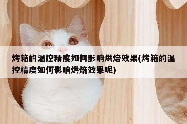 【beat365官网登录】烤箱的温控精度如何影响烘焙效果(烤箱的温控精度如何影响烘焙效果呢)