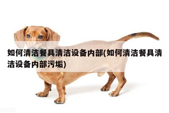 【beat365官网登录】如何清洁餐具清洁设备内部(如何清洁餐具清洁设备内部污垢)