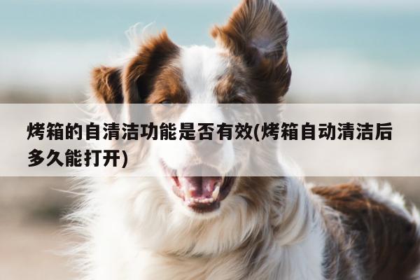 烤箱的自清洁功能是否有效(烤箱自动清洁后多久能打开)【beat365】