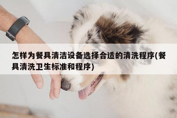 beat365官网登录-怎样为餐具清洁设备选择合适的清洗程序(餐具清洗卫生标准和程序)