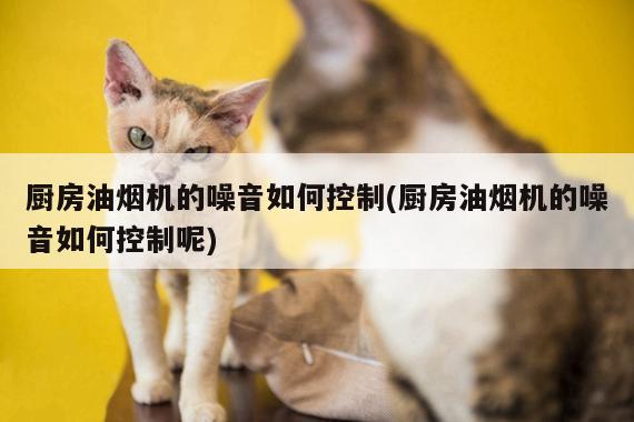 厨房油烟机的噪音如何控制(厨房油烟机的噪音如何控制呢)：beat365