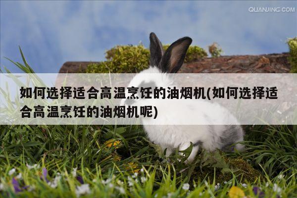 beat365平台-如何选择适合高温烹饪的油烟机(如何选择适合高温烹饪的油烟机呢)