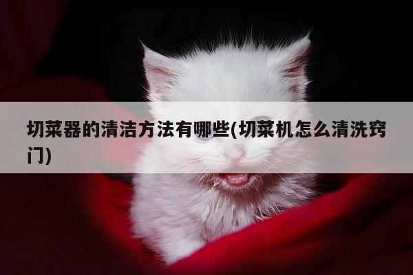 beat365|切菜器的清洁方法有哪些(切菜机怎么清洗窍门)