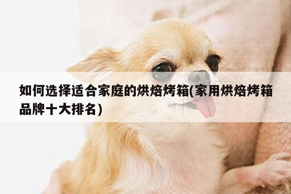 beat365平台|如何选择适合家庭的烘焙烤箱(家用烘焙烤箱品牌十大排名)