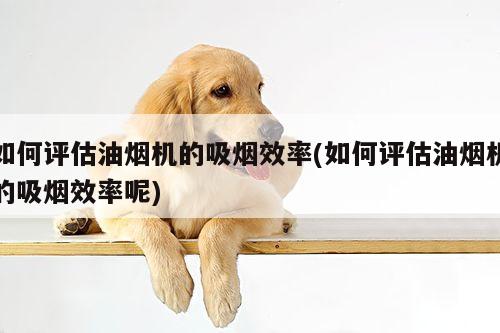 如何评估油烟机的吸烟效率(如何评估油烟机的吸烟效率呢)_beat365平台