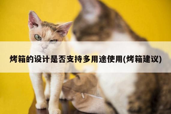 烤箱的设计是否支持多用途使用(烤箱建议)-beat365官网登录