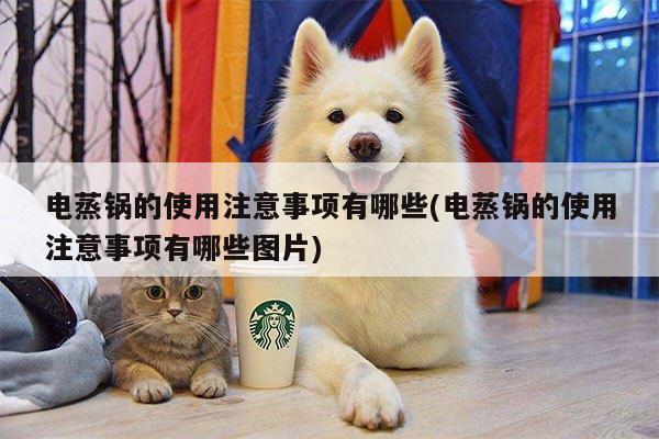 电蒸锅的使用注意事项有哪些(电蒸锅的使用注意事项有哪些图片)|beat365官网登录