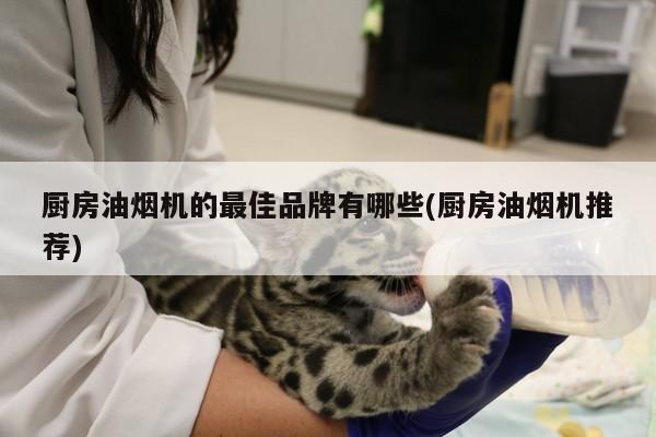 beat365_厨房油烟机的最佳品牌有哪些(厨房油烟机推荐)