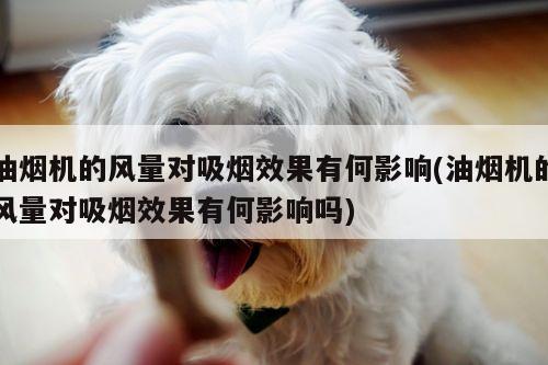 油烟机的风量对吸烟效果有何影响(油烟机的风量对吸烟效果有何影响吗)【beat365平台】