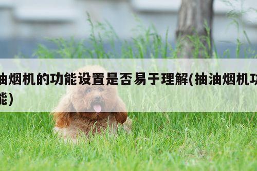 beat365平台-油烟机的功能设置是否易于理解(抽油烟机功能)