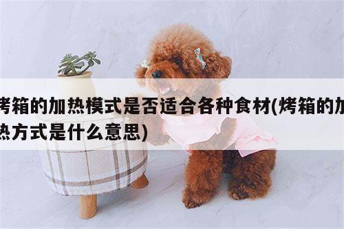 beat365官网登录-烤箱的加热模式是否适合各种食材(烤箱的加热方式是什么意思)