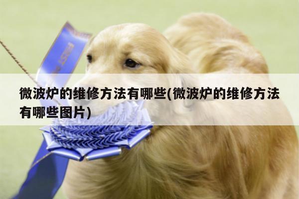 【beat365平台】微波炉的维修方法有哪些(微波炉的维修方法有哪些图片)