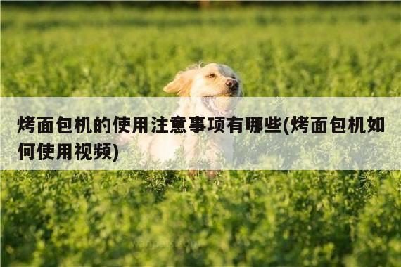 烤面包机的使用注意事项有哪些(烤面包机如何使用视频)_beat365在线体育