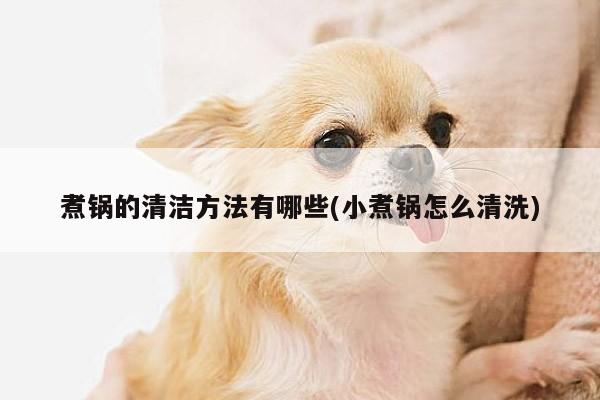 煮锅的清洁方法有哪些(小煮锅怎么清洗)|beat365在线体育