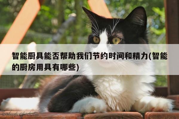 beat365平台-智能厨具能否帮助我们节约时间和精力(智能