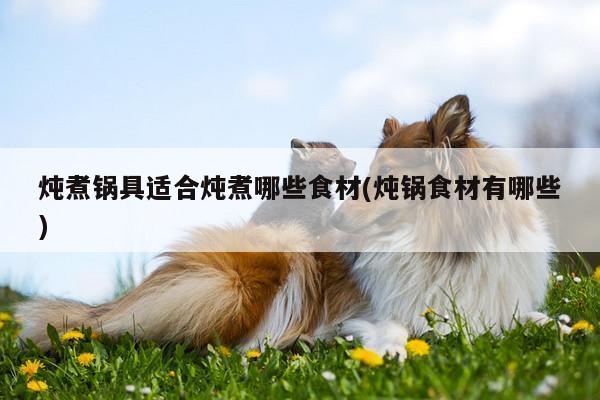 炖煮锅具适合炖煮哪些食材(炖锅食材有哪些)：beat365