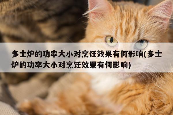 beat365平台_多士炉的功率大小对烹饪效果有何影响(多士炉的功率大小对烹饪效果有何影响)