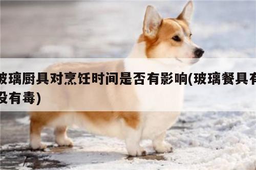 玻璃厨具对烹饪时间是否有影响(玻璃餐具有没有毒)【beat365官网登录】