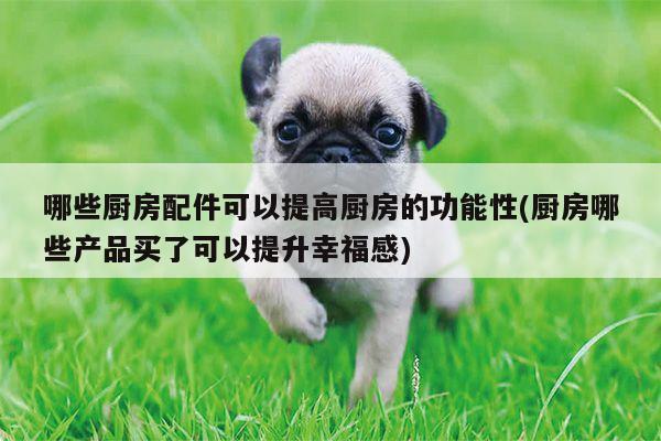 【beat365平台】哪些厨房配件可以提高厨房的功能性(厨房哪些产品买了可以提升幸福感)