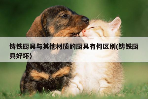 beat365_铸铁厨具与其他材质的厨具有何区别(铸铁厨具好