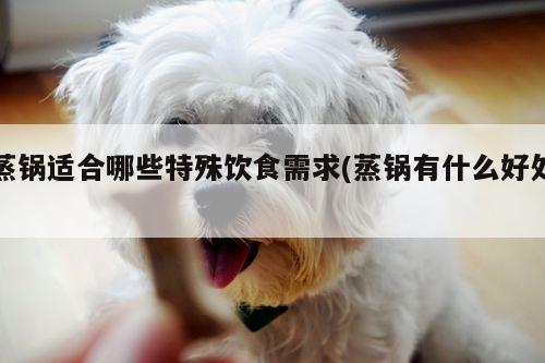 beat365官网登录：蒸锅适合哪些特殊饮食需求(蒸锅有什么