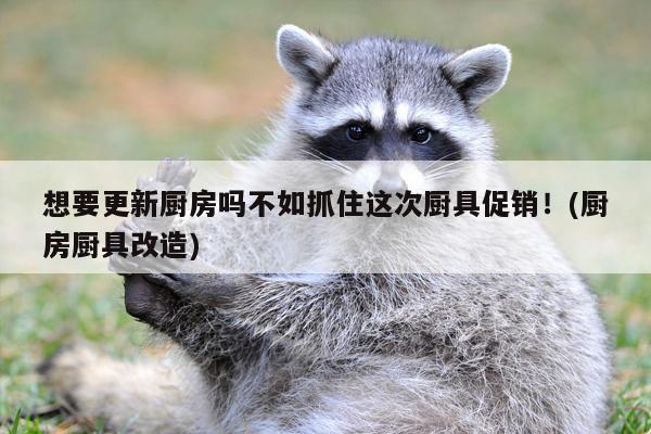 beat365在线体育：想要更新厨房吗不如抓住这次厨具促销！(厨房厨具改造)