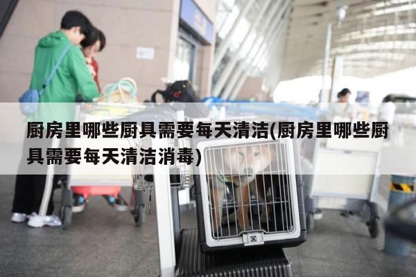 厨房里哪些厨具需要每天清洁(厨房里哪些厨具需要每天清洁消毒)