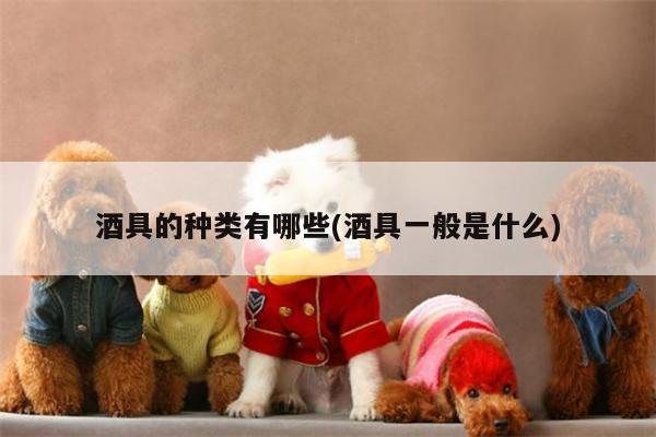 酒具的种类有哪些(酒具一般是什么)_beat365在线体育