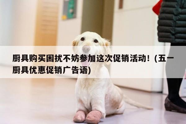 厨具购买困扰不妨参加这次促销活动！(五一厨具优惠促销广告语)|beat365平台