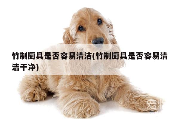 竹制厨具是否容易清洁(竹制厨具是否容易清洁干净)_beat3