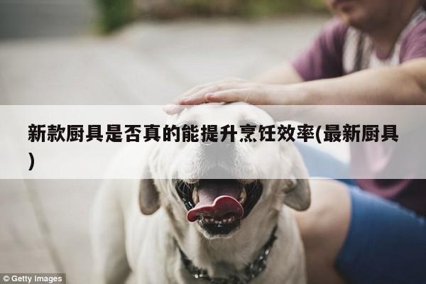 beat365平台|新款厨具是否真的能提升烹饪效率(最新厨具)