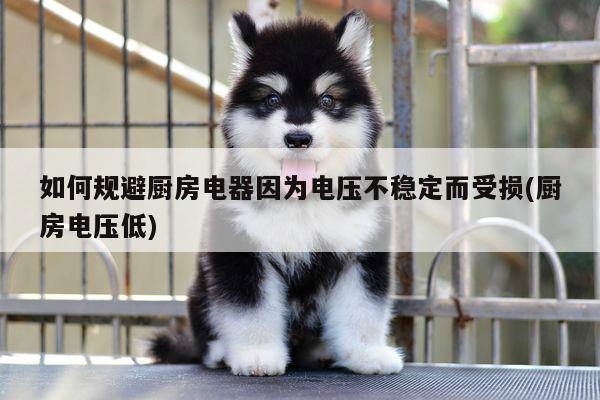 beat365在线体育|如何规避厨房电器因为电压不稳定而受损(厨房电压低)