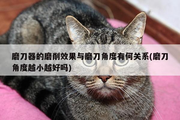 beat365-磨刀器的磨削效果与磨刀角度有何关系(磨刀角度越小越好吗)