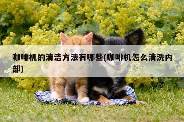 beat365-咖啡机的清洁方法有哪些(咖啡机怎么清洗内部)