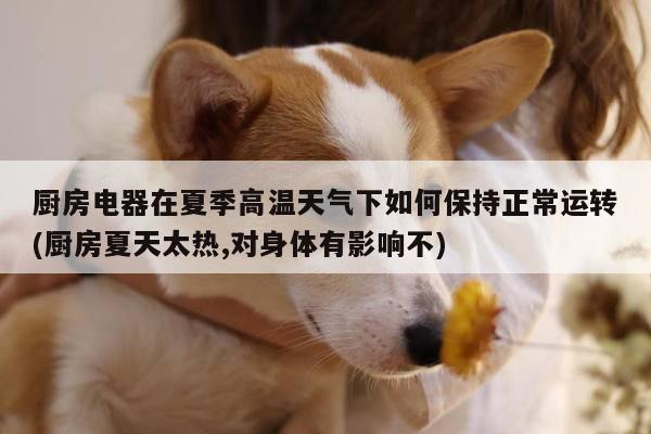 beat365在线体育_厨房电器在夏季高温天气下如何保持正常运转(厨房夏天太热,对身体有影响不)