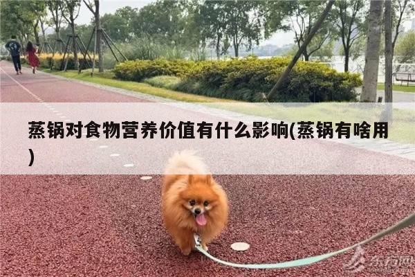 蒸锅对食物营养价值有什么影响(蒸锅有啥用)-beat365官网登录