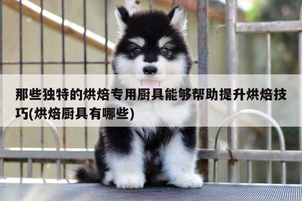 beat365在线体育_那些独特的烘焙专用厨具能够帮助提升烘焙技巧(烘焙厨具有哪些)