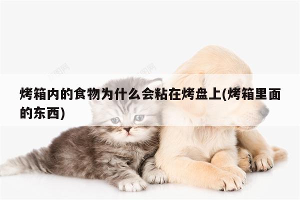 烤箱内的食物为什么会粘在烤盘上(烤箱里面的东西)|beat365平台