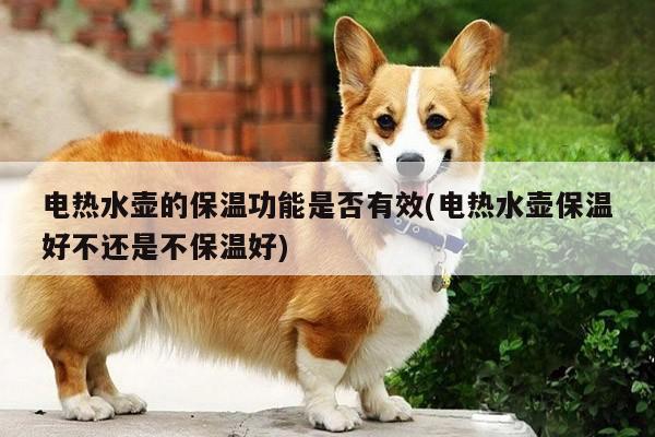 电热水壶的保温功能是否有效(电热水壶保温好不还是不保温好)_beat365