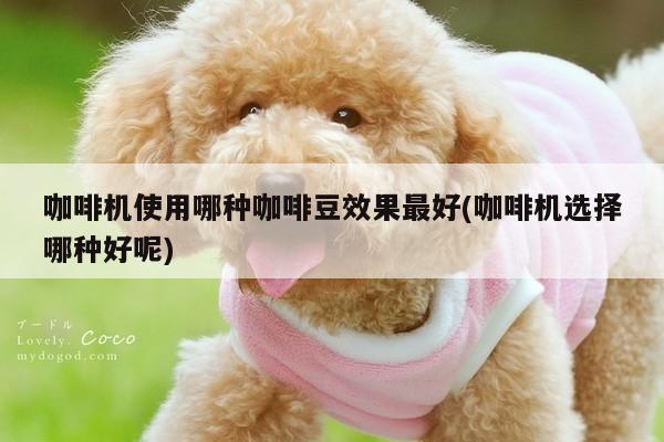 beat365-咖啡机使用哪种咖啡豆效果最好(咖啡机选择哪种好呢)