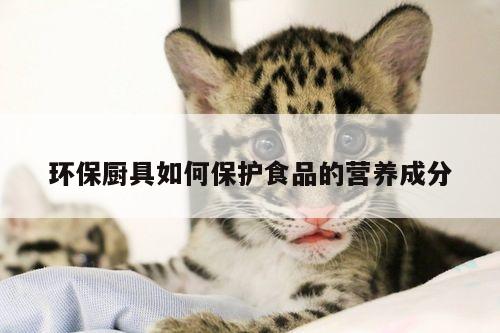 环保厨具如何保护食品的营养成分-beat365在线体育